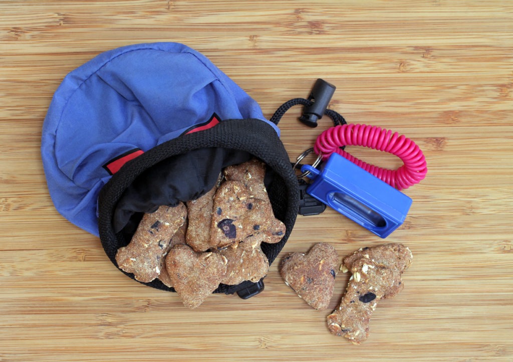 Dog Pouches, Training Pouch