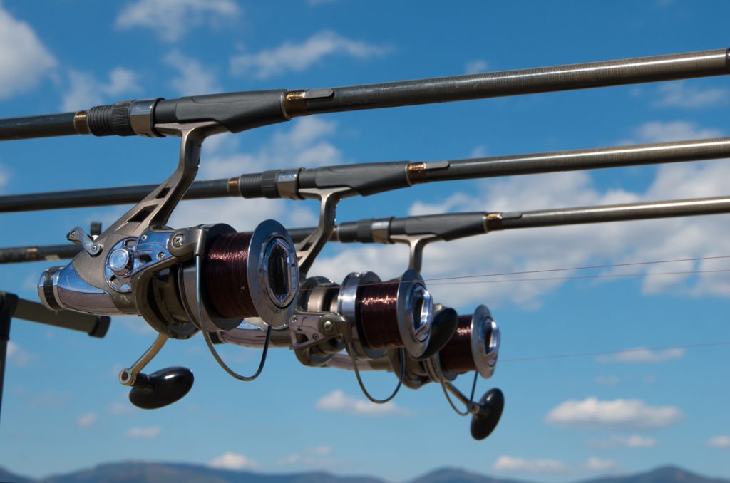 Equipment for carp fishing with three fishing rods with reels on a support system - rod pod