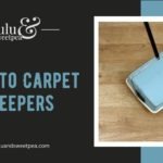 Guide to Carpet Sweepers