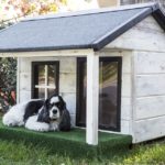 Guide to Picking a Kennel for Your Dog