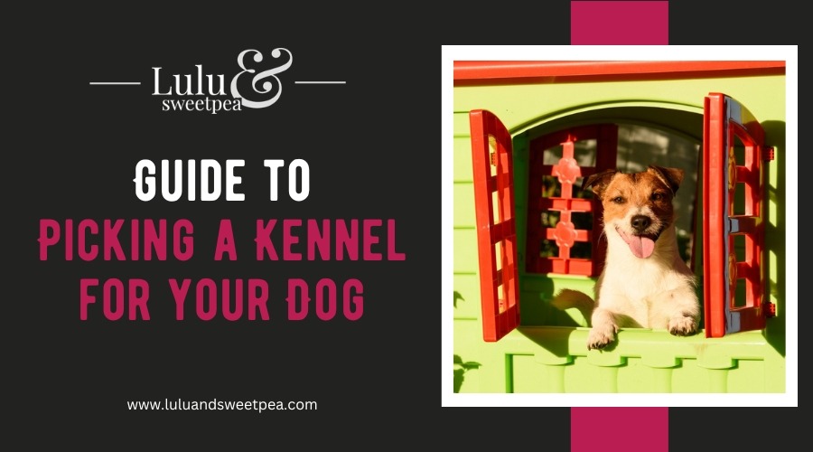 Guide to Picking a Kennel for your Dog