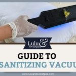 Guide to UV Sanitizing Vacuums