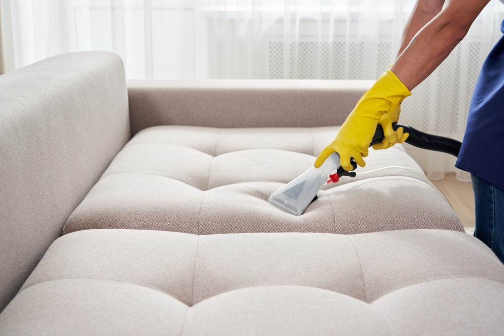 Housekeeper holding modern washing vacuum cleaner and cleaning dirty sofa