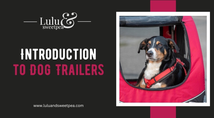 Introduction to Dog Trailers