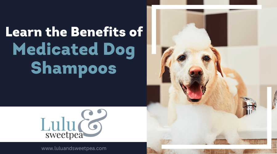 Learn the Benefits of Medicated Dog Shampoos