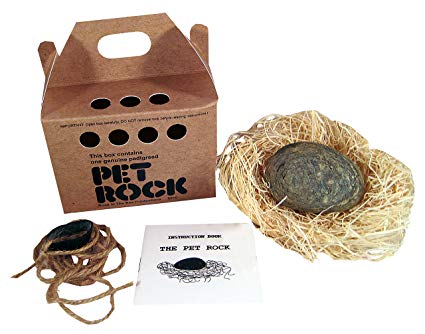 Pet-Rocks