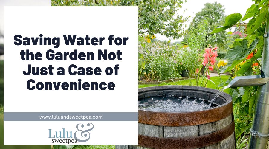 Saving Water for the Garden Not Just a Case of Convenience
