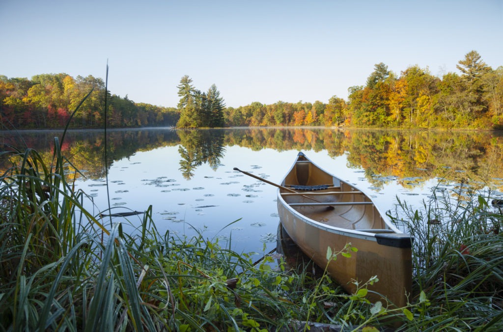 Scenic landscape of a canoe with paddle