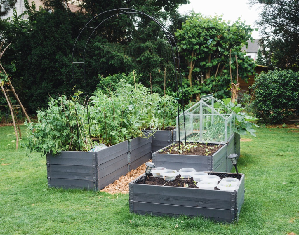Several raised garden beds 