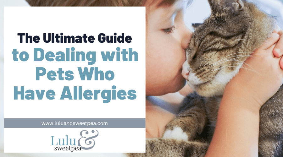 The Ultimate Guide to Dealing with Pets Who Have Allergies