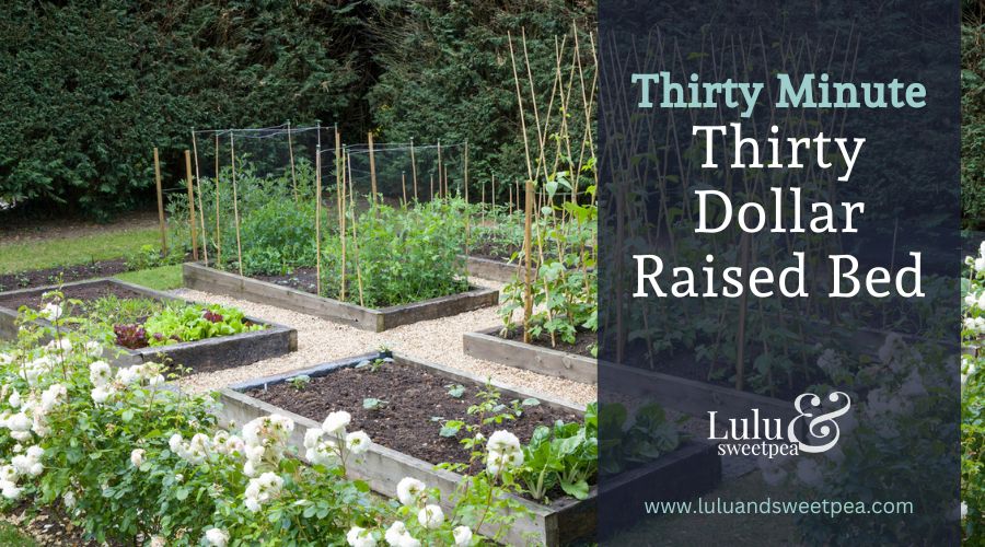Thirty Minute Thirty Dollar Raised Bed