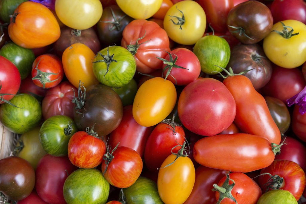 Varieties of tomatoes.