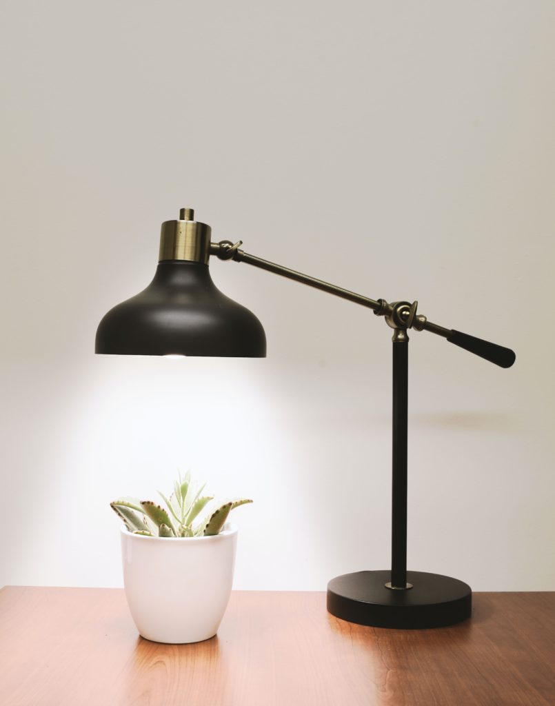 a black metal desk lamp lighting over a succulent plan
