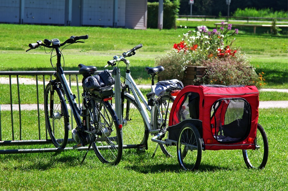 bike-with-a-dog-trailer
