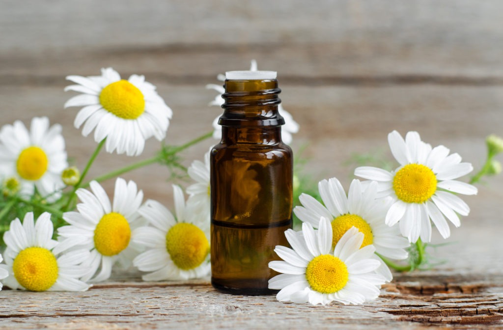 chamomile oil in a bottle with chamomile flowers in a wooden background