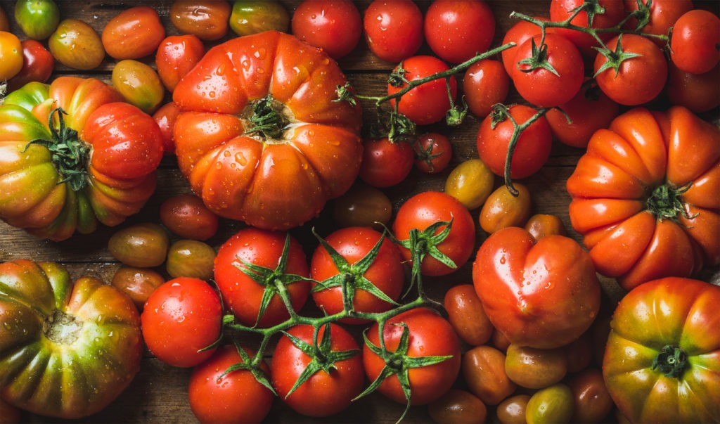 Colorful tomatoes of different sizes and kinds