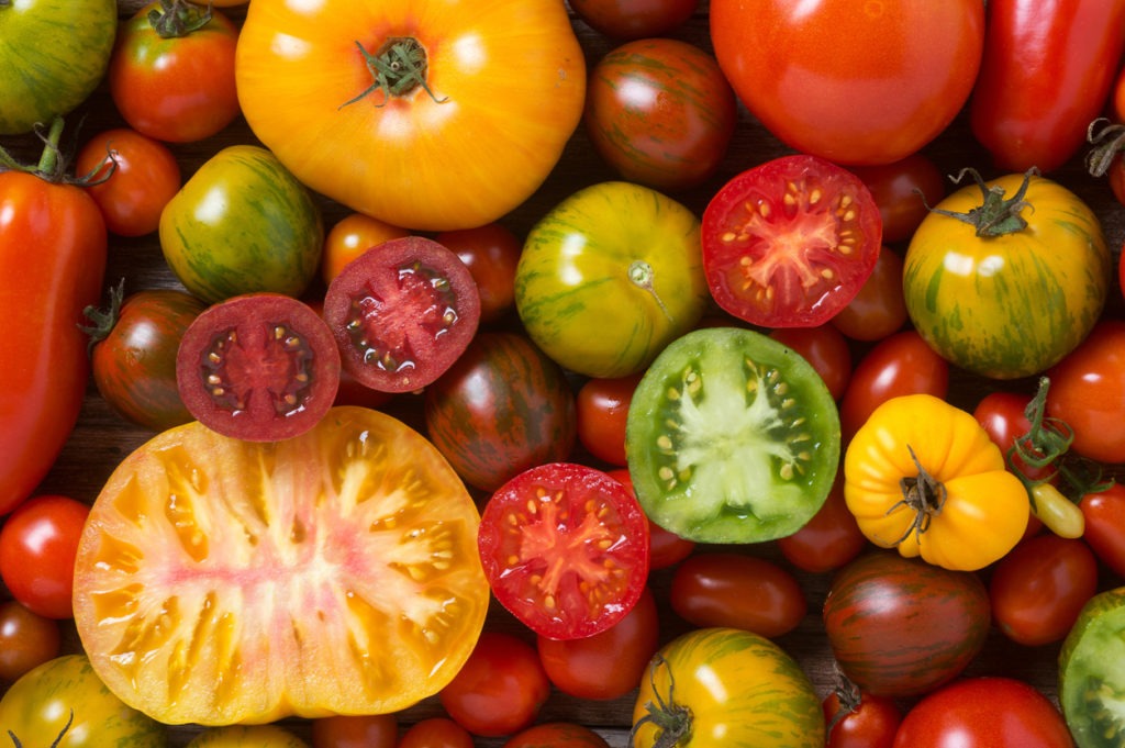 Close up of colourful tomatoes