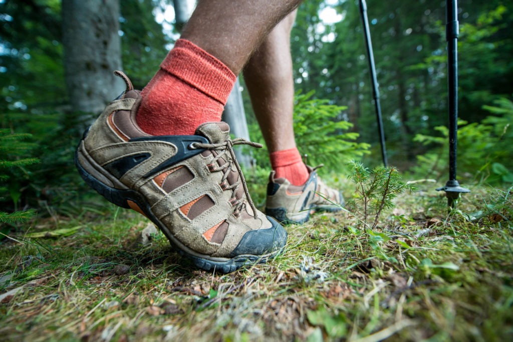 legs of the traveler in hiking boots with trekking poles. Carpathian mountain forest