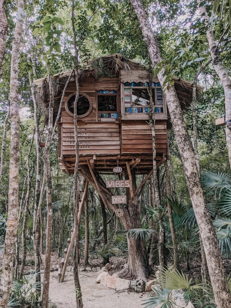 picture of a wooden treehouse