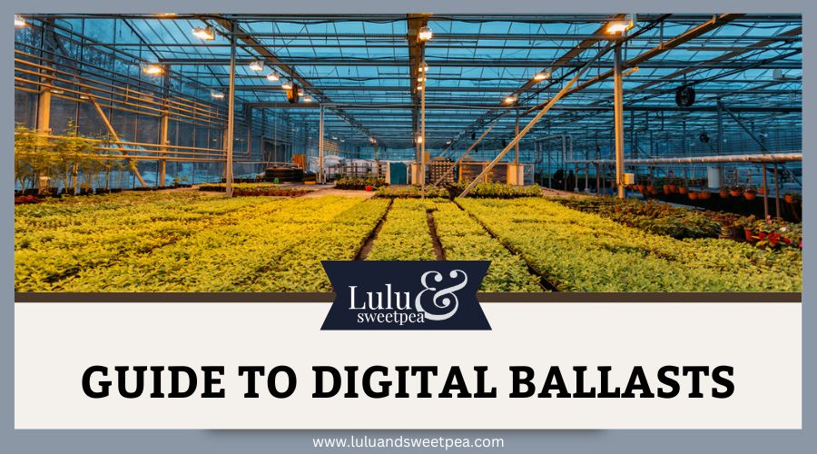 Guide to Digital Ballasts