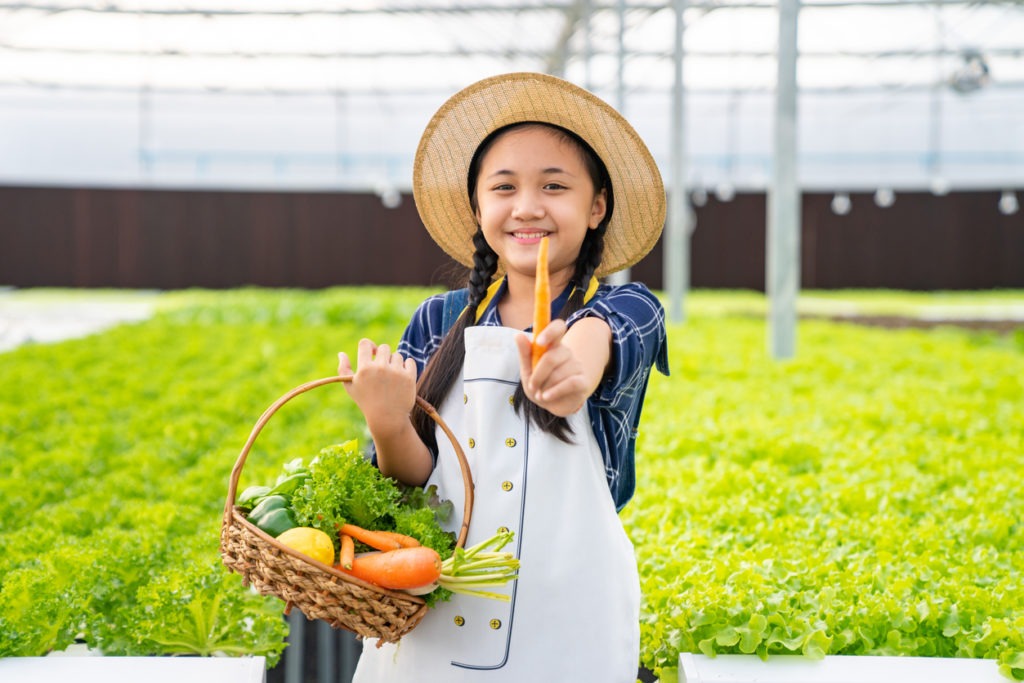 Portrait of Happy little Asian girl farmer holding organic lettuce in the basket in greenhouse garden