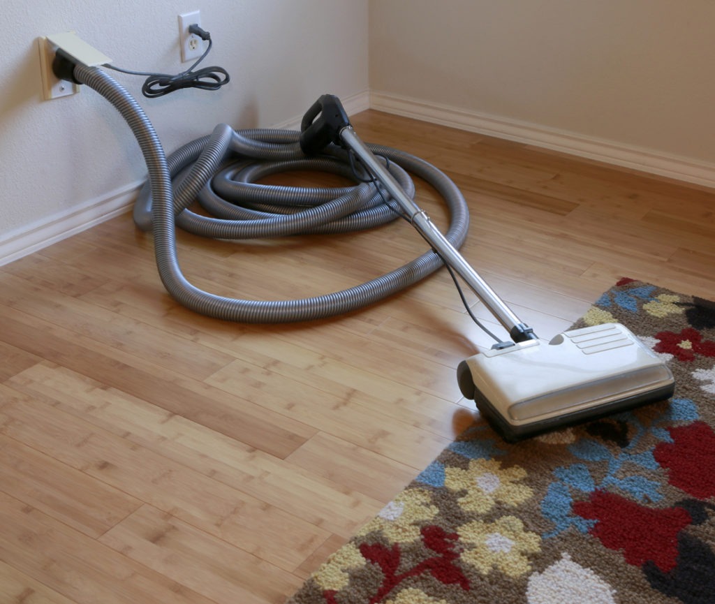 a central vacuum cleaner