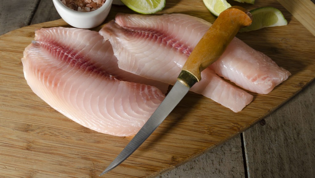 a fillet knife on fish meat