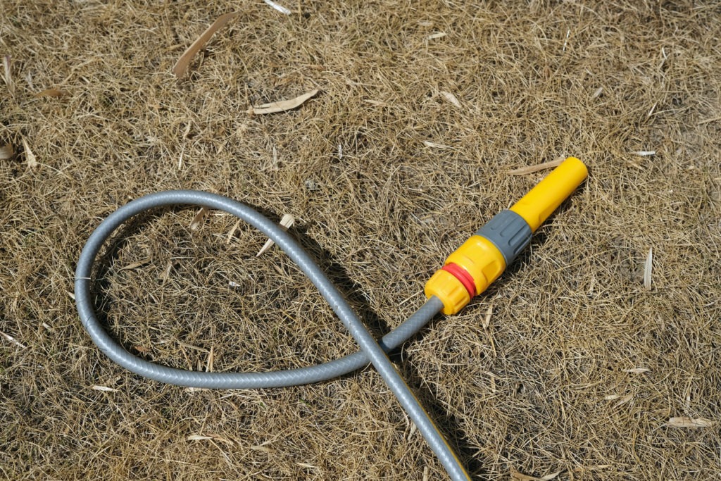 a flexible garden hose