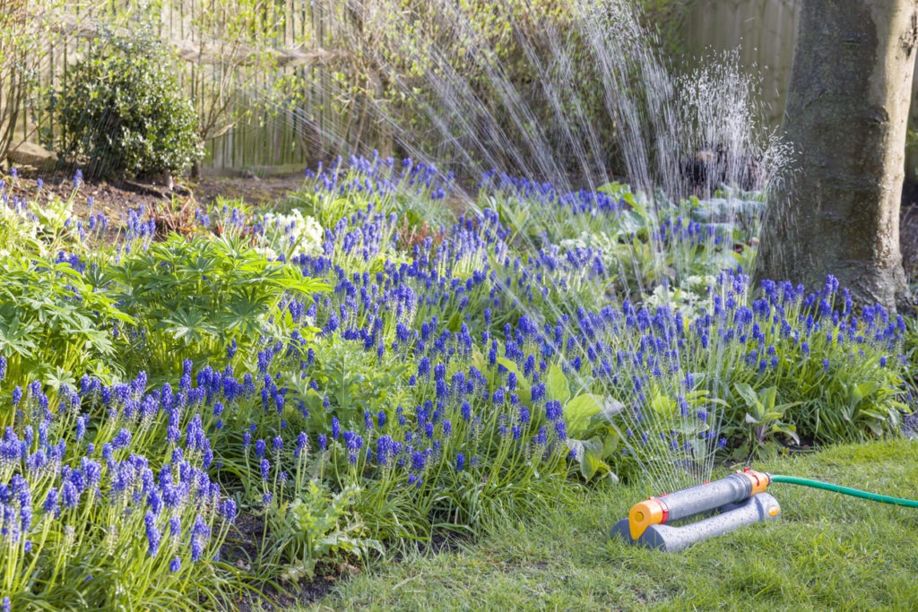 a garden sprinkler