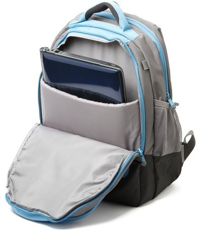 Backpack with laptop compartment.