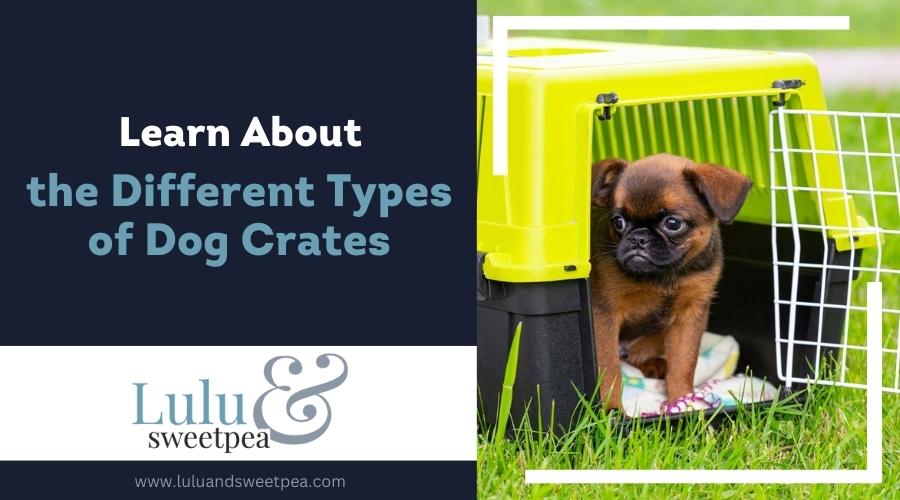 Learn About the Different Types of Dog Crates