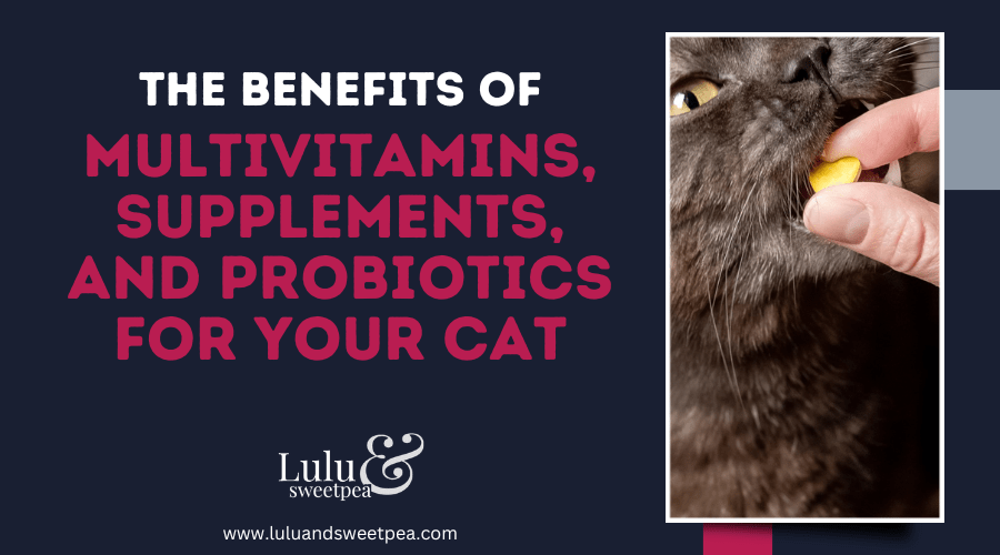 The Benefits of Multivitamins, Supplements, and Probiotics for Your Cat