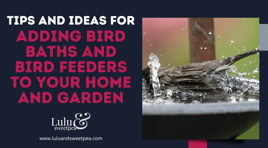 Tips and Ideas for Adding Bird Baths and Bird Feeders to Your Home and Garden