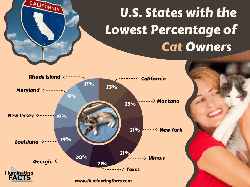 States with the Lowest Percentage of Cat Owners