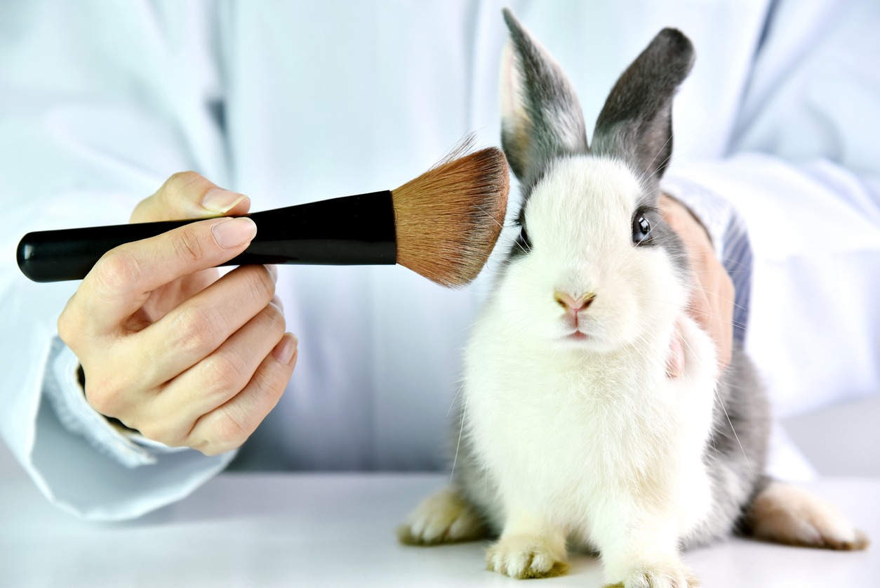 A close up image of a hand holding a makeup brush and a rabbit