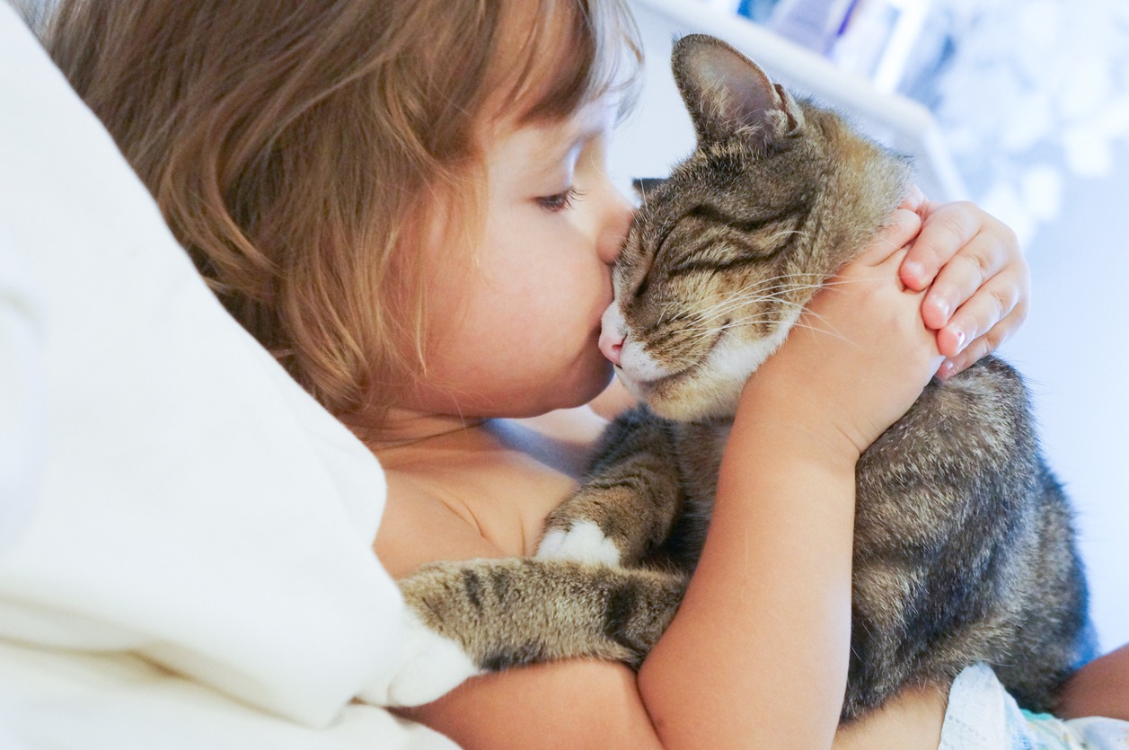 Animal, Child, Domestic Cat, Animal Themes, Love, Emotion, Kissing, Affectionate, Passion, Therapy, Influence, Positive Emotion, Candid, Cute, Girl, Facial Expression, Innocence, Lifestyles, Tabby Cat, Hair
