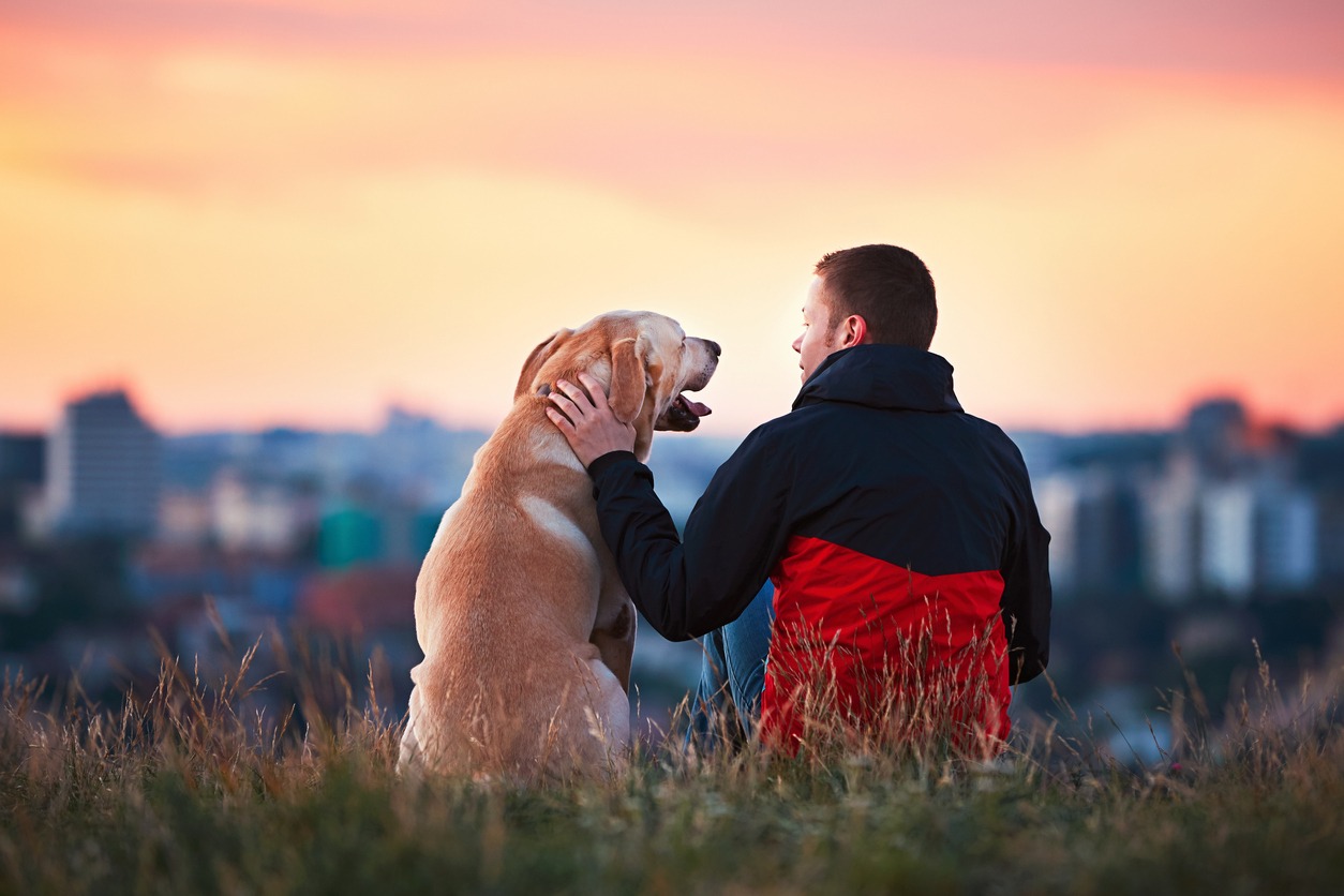 Dog, Men, People, Owner, Petting, Pets, Friendship, Happiness, Reliability, Relaxation, Passion, Togetherness, Cheerful, Loyalty, Outdoors, Sitting, Lifestyles, Cute, Touching, Emotion, Looking