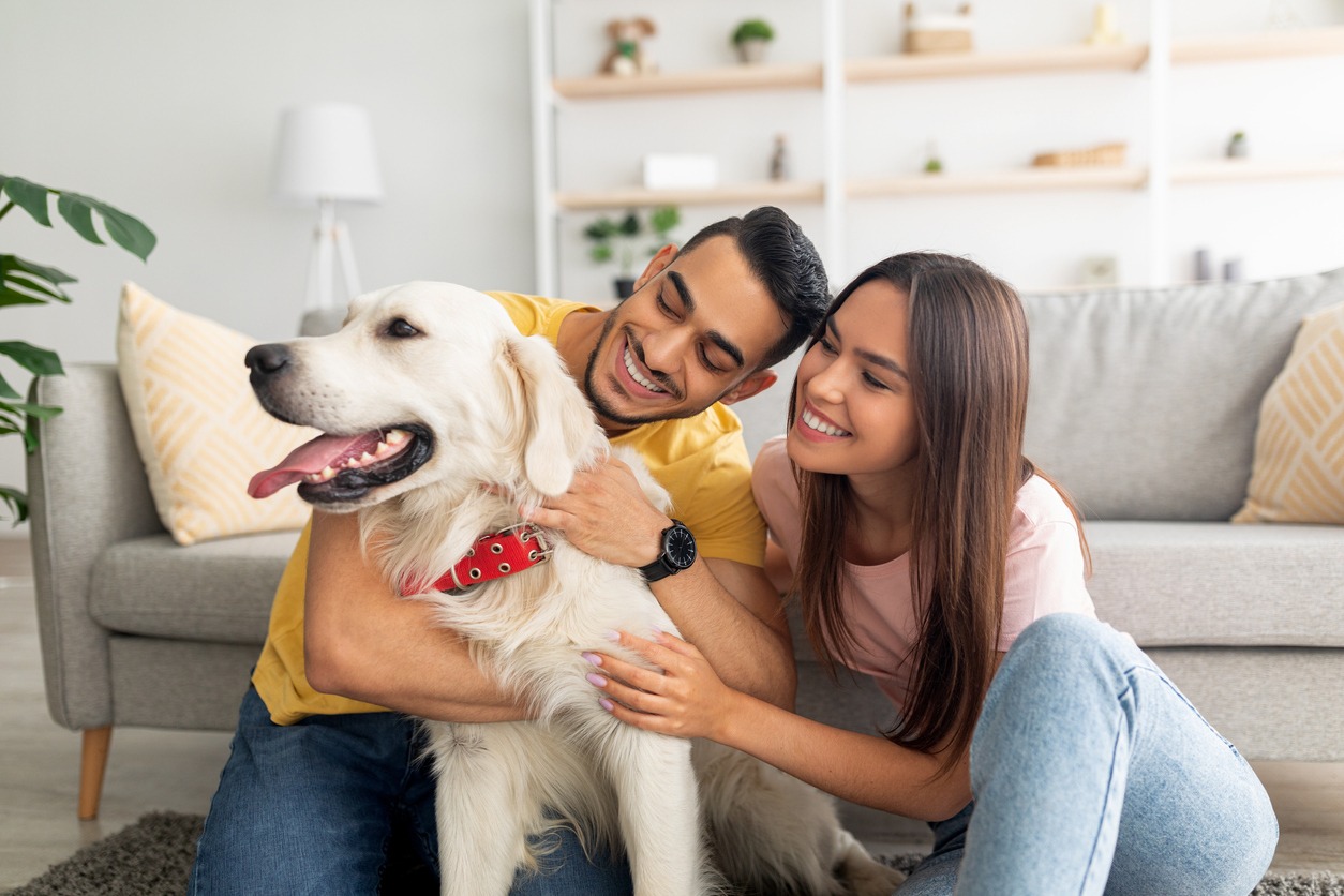 Pets, Petting, Dog, Couple-Relationship, Domestic Life, Cheerful, People, House, Embracing, Puppy, Lifestyles, Sofa, Smiling, Fun, Togetherness, Care, Fun, Animal, Labrador Retriever, Love-Emotion