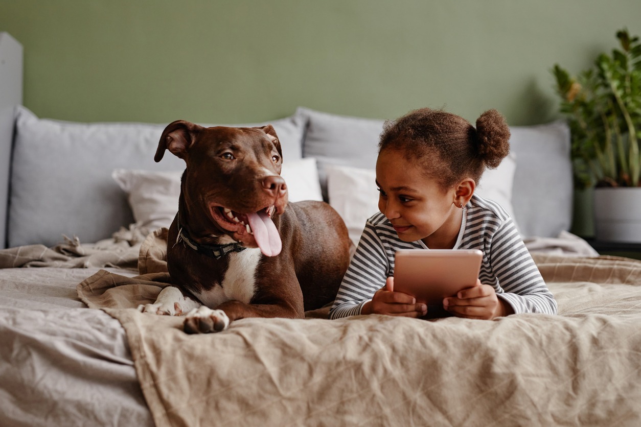 Pets, Petting, Lifestyles, People, Playful, Playing, Happiness. Cozy, Indoors, Love-Emotion, Reading, Care, Affectionate, Childhood, Comfortable, Bonding, Cheerful, Friendship, Relaxation, Lying Down