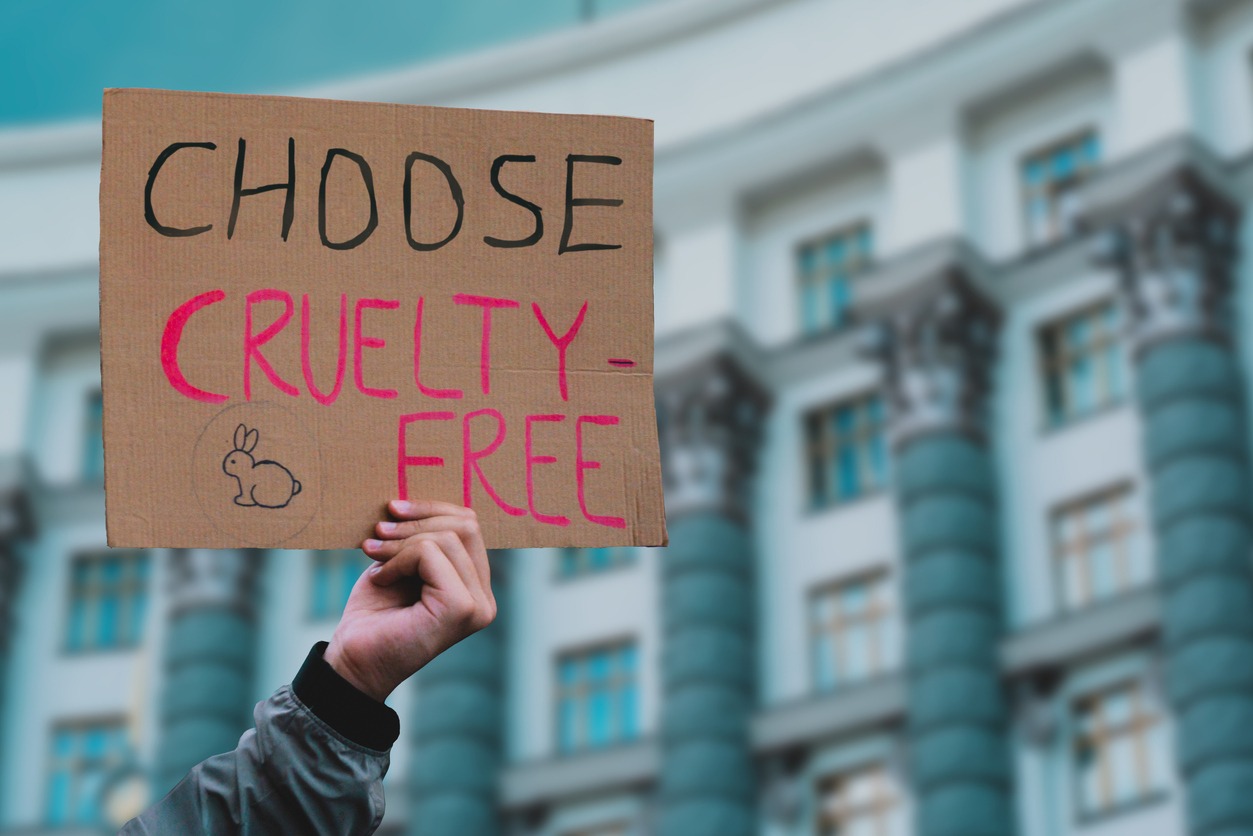 a hand holding up a sign that says Choose Cruelty Free
