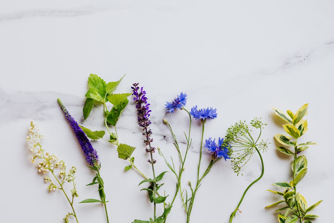 edible flowers and mint leaves on a white surface
