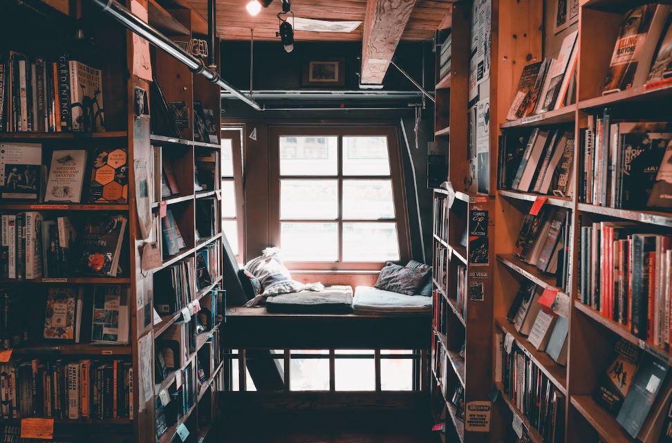 Book, Cozy, Library, Seattle, Left Blank Books, Reading Nook, Rom, Pillows, Interior, Background, Indoors, Interior Design, Shelf, Housing, Building, Home, Lighting