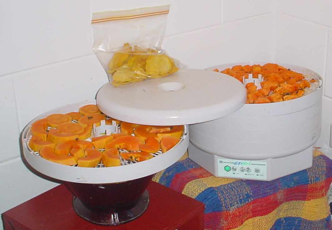 Electric food dehydrator with mango and papaya slices