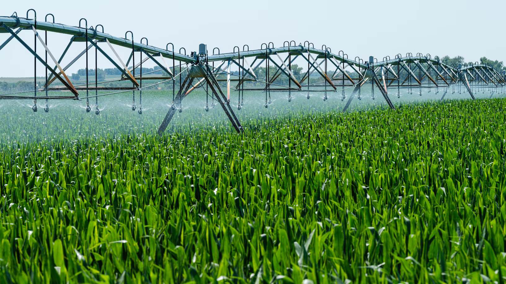 A sprinkler system spraying water on a green field