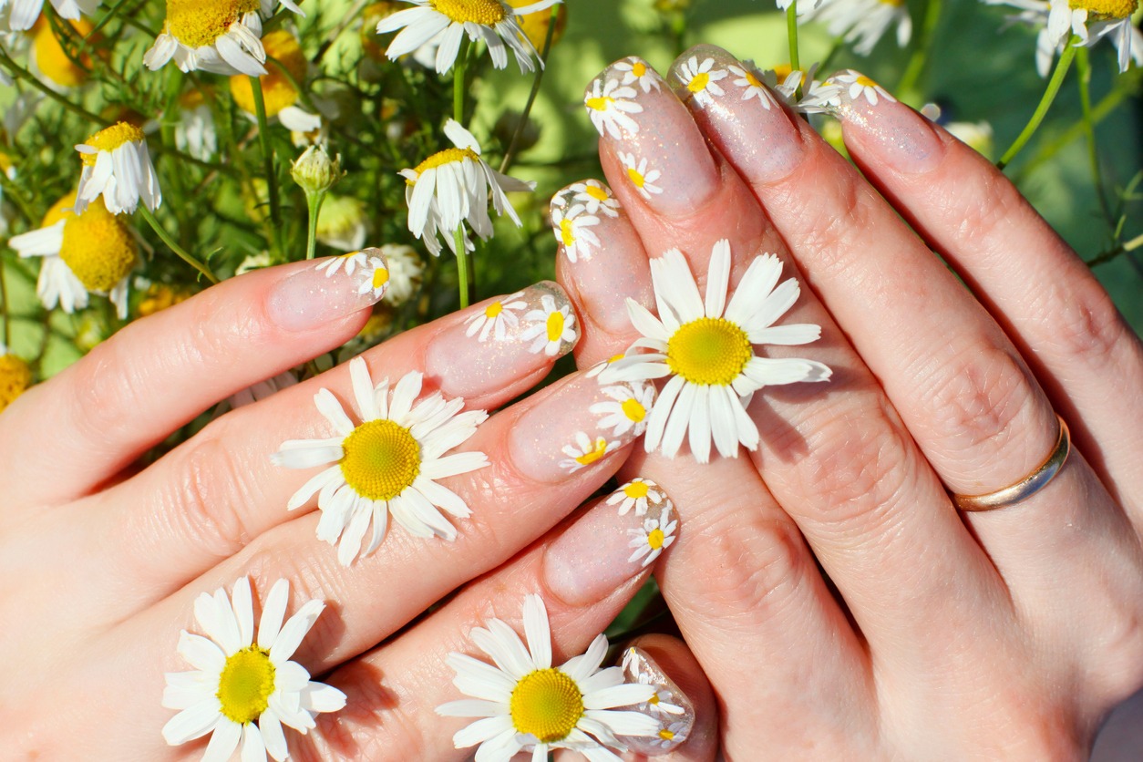 Woman hands with camomile flowers